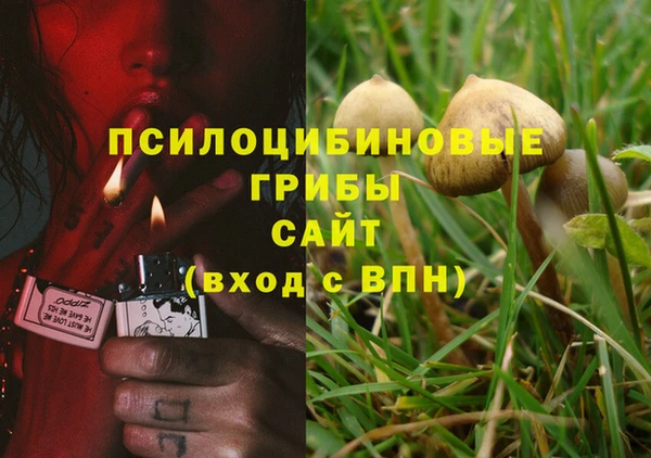 стаф Володарск