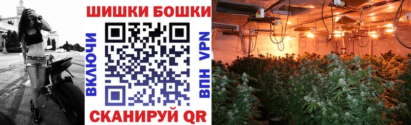 Конопля гибрид  блэк спрут ONION  Лянтор 
